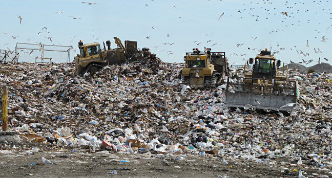 landfill