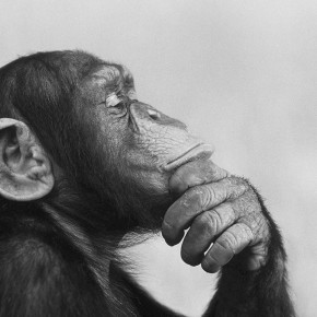 We need to think more about advertising We need to think more about advertising