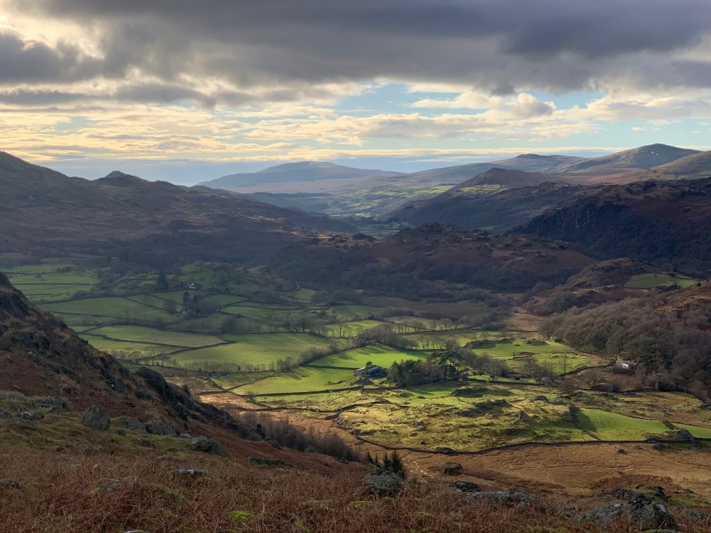 Seatwaite from Brow Side Fell